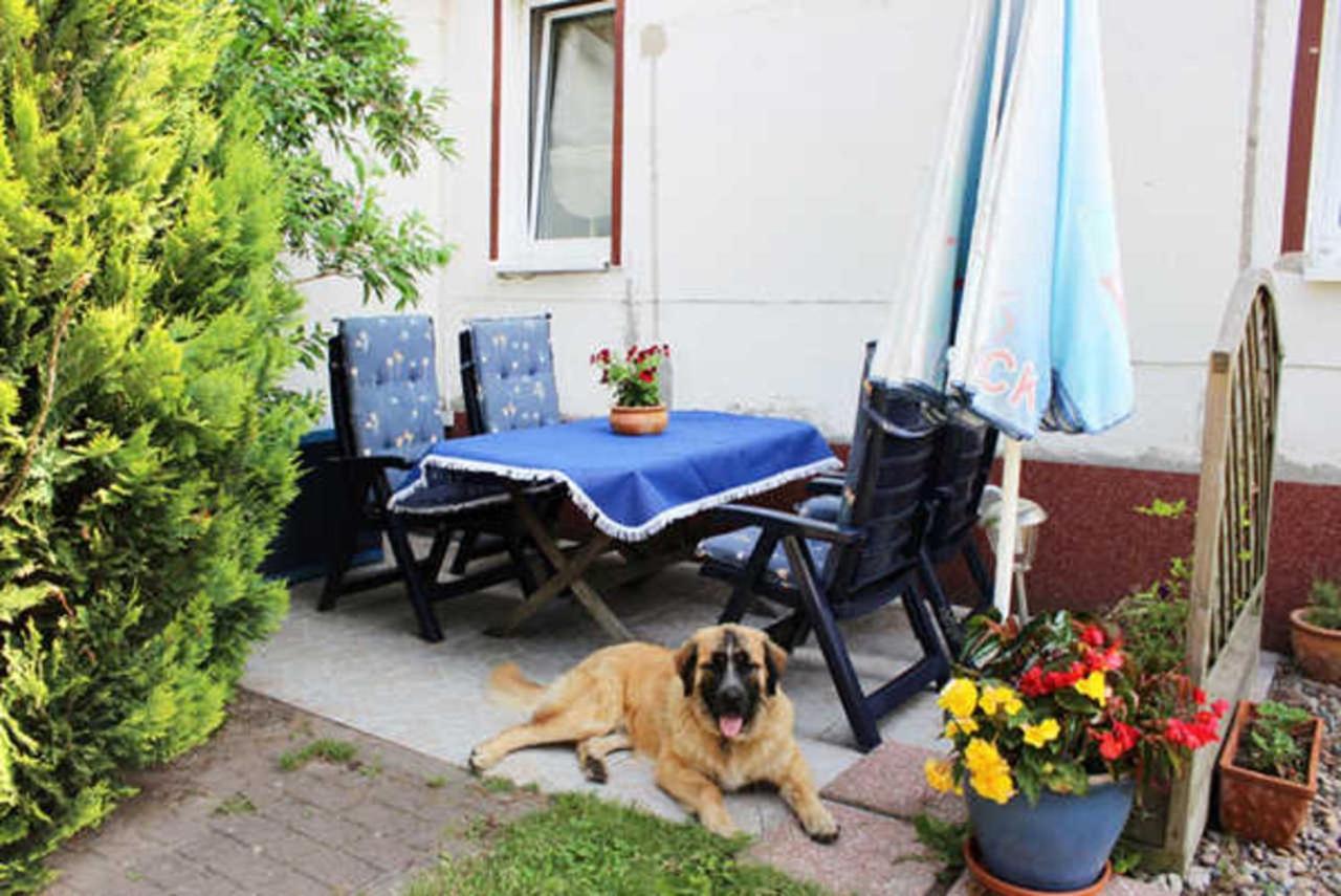 Isabell Appartement Zinnowitz Buitenkant foto